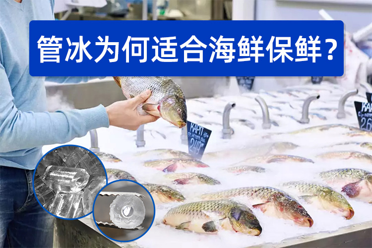 管冰為何如此適合海鮮保鮮？